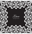 White lace on black vector image