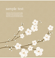 Cherry blossom card vector image