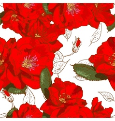 Beautiful seamless floral pattern vector image
