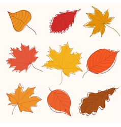 Set of autumn doodle leaves vector image