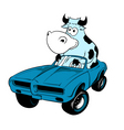 Cow driving a car mascot vector image