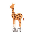 Cute Giraffe head cartoon Royalty Free Vector Image