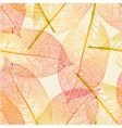 Autumn leaves pattern vector image