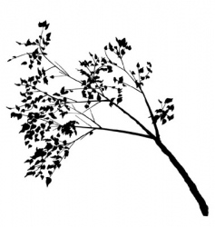 Tree silhouette vector image