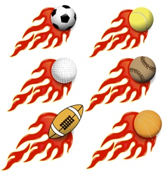 Sports balls vector image