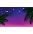 Night background vector image