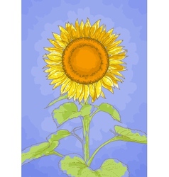 Sunflower and blue sky vector image