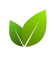 Green leaves Green leaves vector image