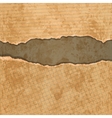 Old torn paper set vector image