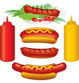 Hot dodg various vector image