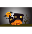 Halloween Mansion in dark night vector image