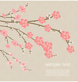 Cherry blossom card vector image