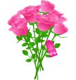 Bouquet of roses vector image