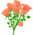 Bouquet of orange tea roses Bouquet of orange tea roses vector image