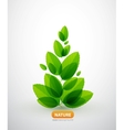 Green leaf summer tree vector image