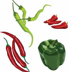 Peppers vector image