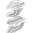 Wings pack vector image