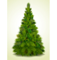 Christmas tree vector image