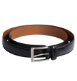 Men black belt vector image