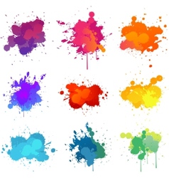 Paint splat vector image