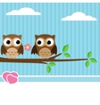 Owl couple vector image
