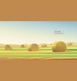 Autumn rural landscape from agricultural field Autumn rural landscape from agricultural field vector image