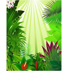 Nature forest background vector image