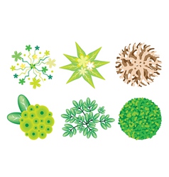 An Isometric Set of Trees and Plants vector image