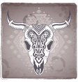 Tribal animal skull with ethnic vector image