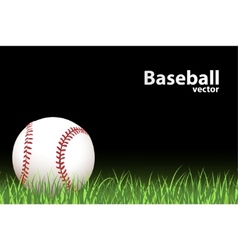 Basball ball Basball ball vector image