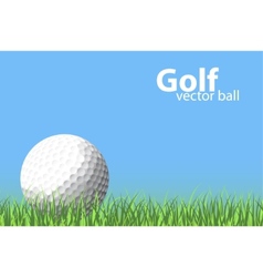 Golf ball vector image