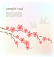 Cherry blossom card vector image
