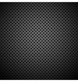 Seamless Circle Perforated Carbon Grill Texture vector image
