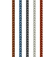 Leather seamless braided plait vector image