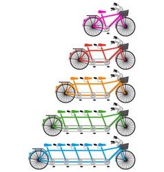 Tandem team bikes bicycle set vector image