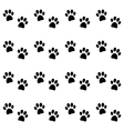 Background with black paw prints vector image