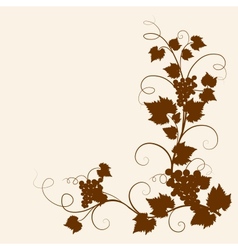 Grape vine vector image