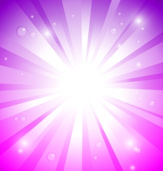 Fantasy sunburst purple pink vector image