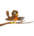 Robin bird on branch pointing vector image