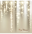 Elegant Christmas background with snowflakes and vector image