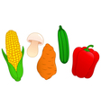 Vegetable set vector image
