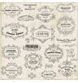 Calligraphic Design Elements and Page Decoration vector image