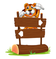 A tiger in a scary mood at the back of a signboard vector image