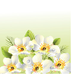 Floral graphic background design vector image