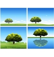 Oak tree background vector image