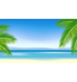 Branches of palm trees against vector image