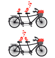 Tandem bicycle with birds in love vector image