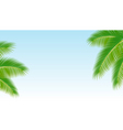 Palm branches against the blu vector image