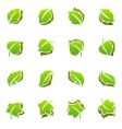 Leaves template set vector image