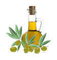 Olive oil vector image